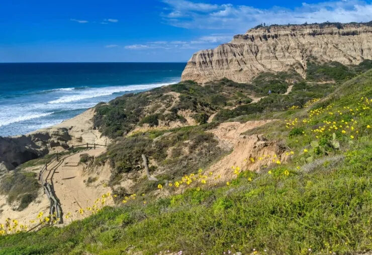 Torrey Pines coastal cliffs and Pacific Ocean